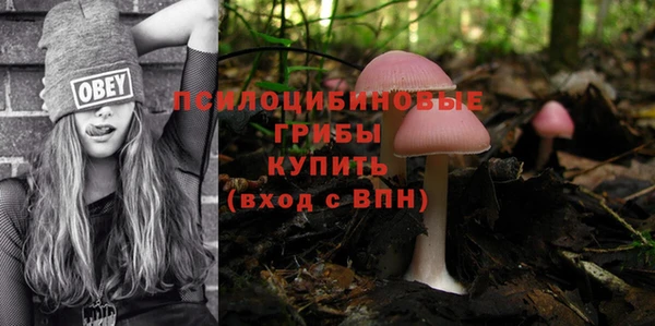 мяу мяу кристалл Магас